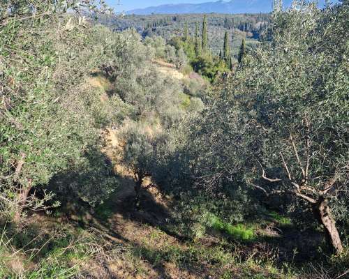 φωτογραφία ακινήτου