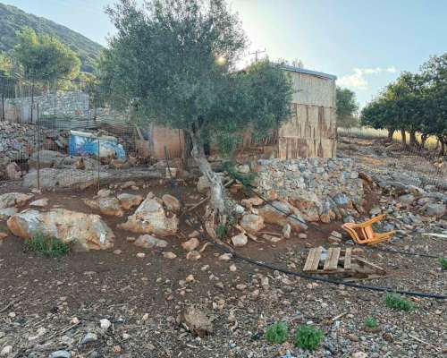 φωτογραφία ακινήτου