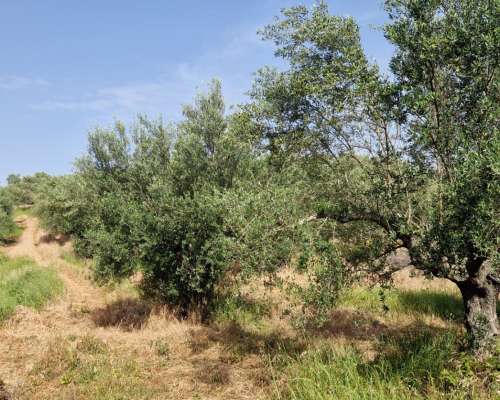 φωτογραφία ακινήτου