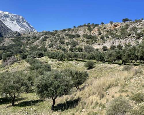 φωτογραφία ακινήτου