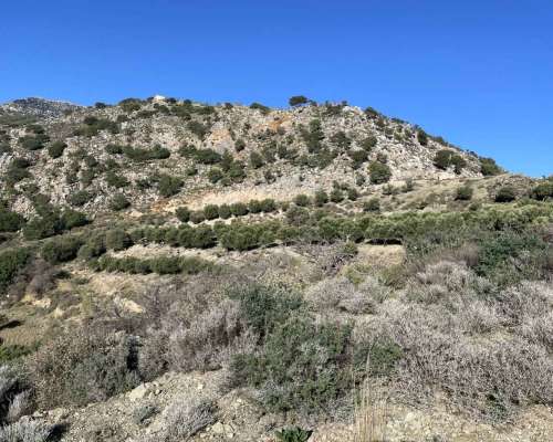 φωτογραφία ακινήτου