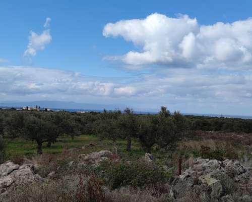 εικόνα ακινήτου