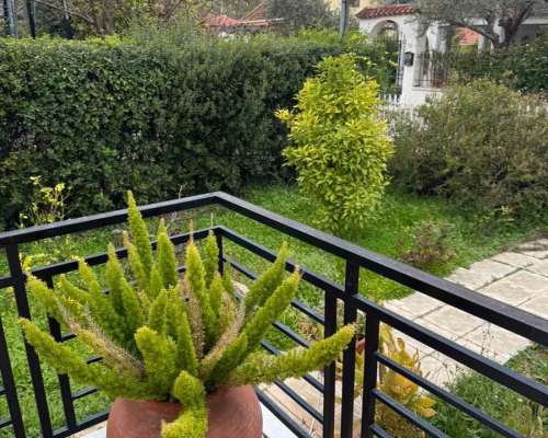 φωτογραφία ακινήτου