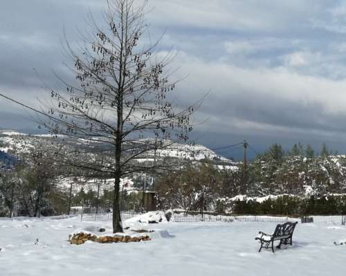 φωτογραφία ακινήτου