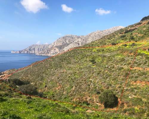 φωτογραφία ακινήτου