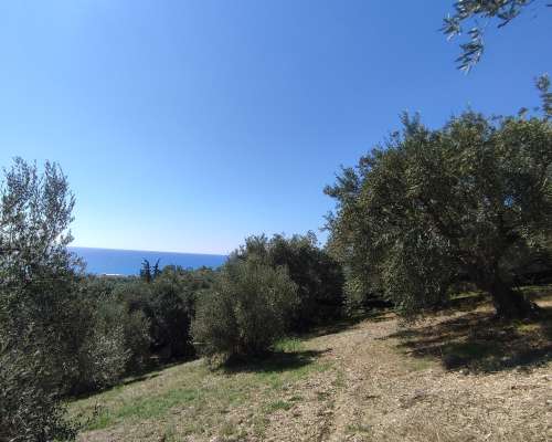 φωτογραφία ακινήτου