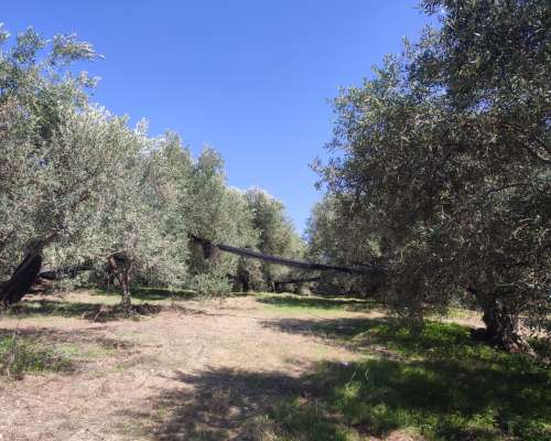 φωτογραφία ακινήτου