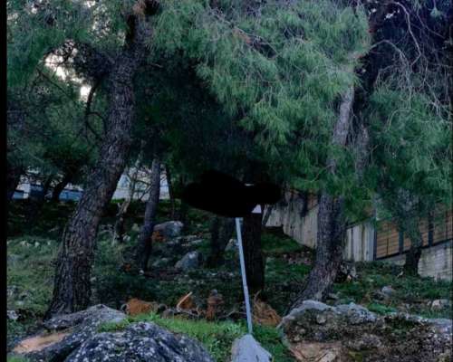 φωτογραφία ακινήτου