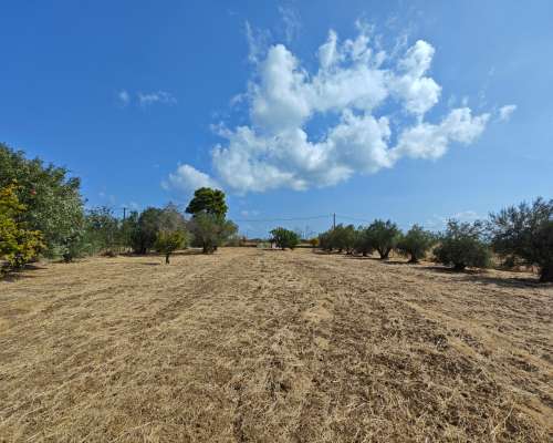 φωτογραφία ακινήτου
