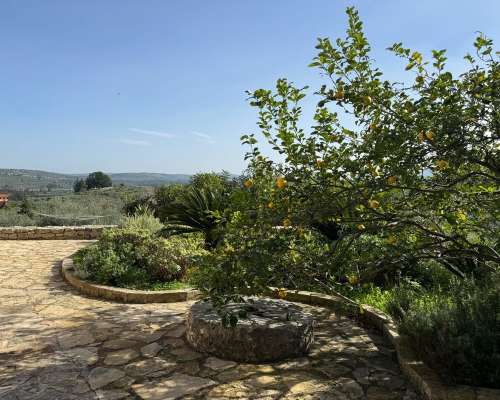 φωτογραφία ακινήτου