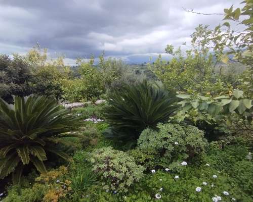 φωτογραφία ακινήτου