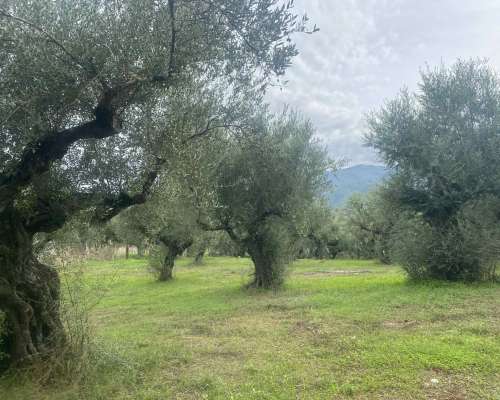 φωτογραφία ακινήτου