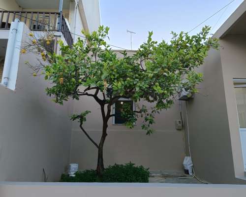 φωτογραφία ακινήτου