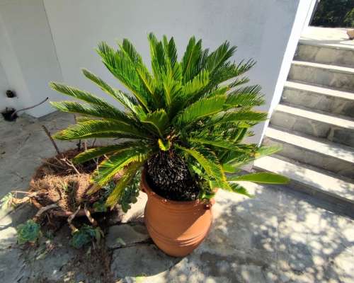 φωτογραφία ακινήτου