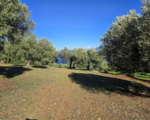 φωτογραφία ακινήτου