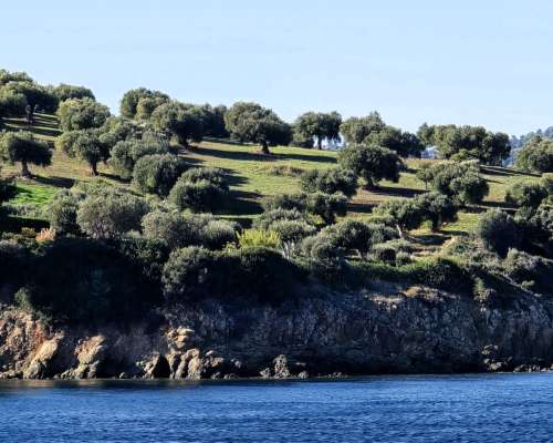φωτογραφία ακινήτου