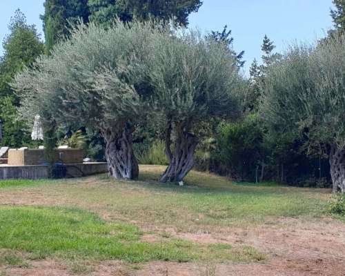 φωτογραφία ακινήτου