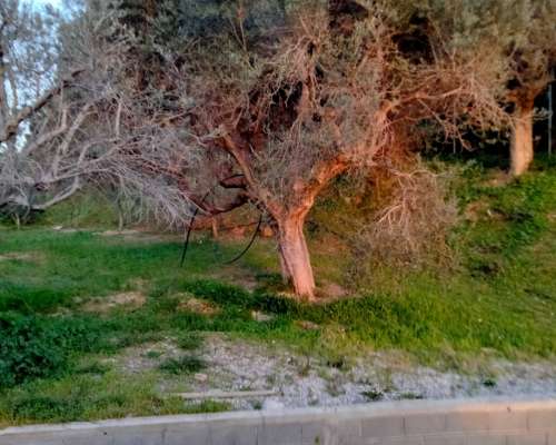 φωτογραφία ακινήτου