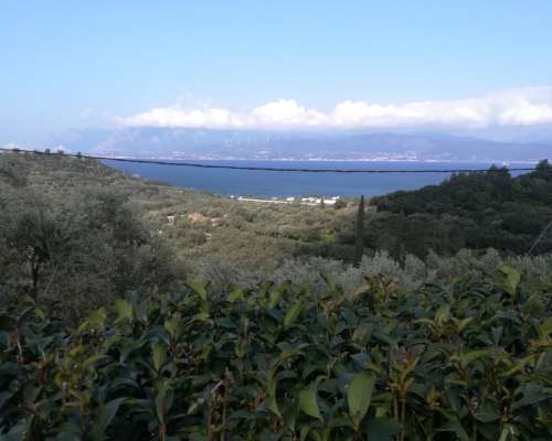 φωτογραφία ακινήτου