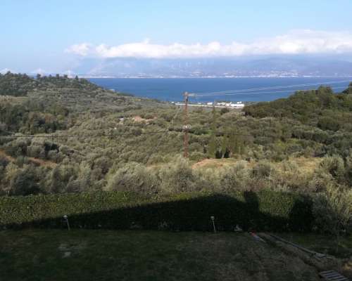 φωτογραφία ακινήτου