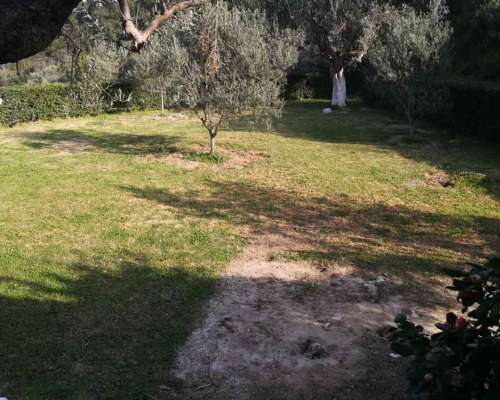 φωτογραφία ακινήτου