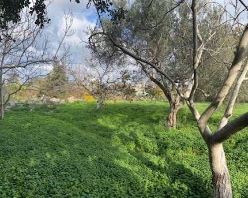 φωτογραφία ακινήτου