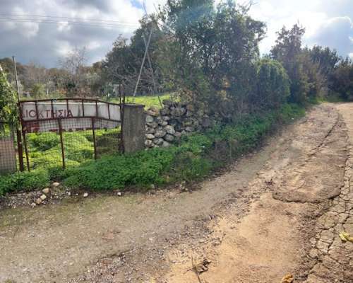 φωτογραφία ακινήτου