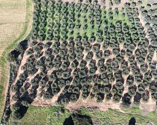 φωτογραφία ακινήτου
