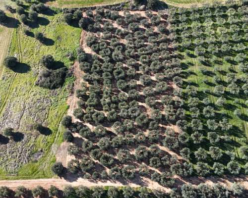 φωτογραφία ακινήτου