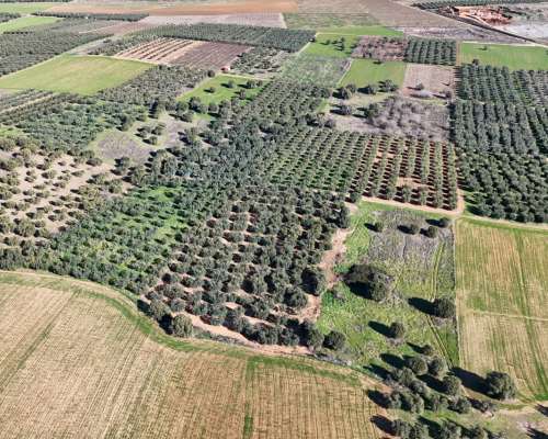 φωτογραφία ακινήτου