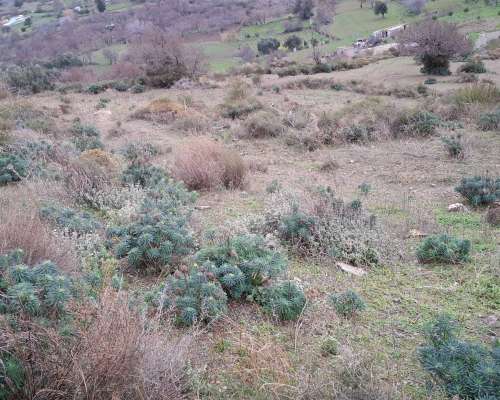 φωτογραφία ακινήτου