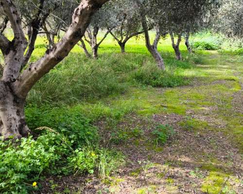 φωτογραφία ακινήτου