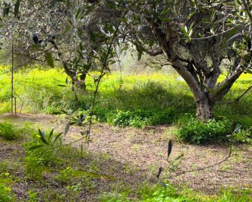 φωτογραφία ακινήτου
