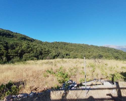 φωτογραφία ακινήτου