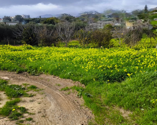 φωτογραφία ακινήτου