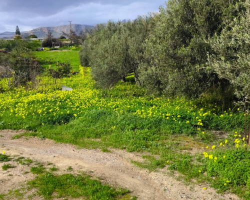 φωτογραφία ακινήτου
