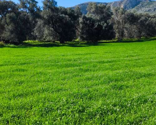 φωτογραφία ακινήτου