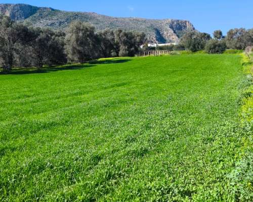 φωτογραφία ακινήτου