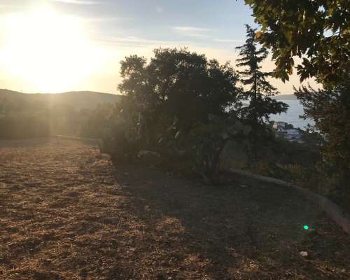 φωτογραφία ακινήτου