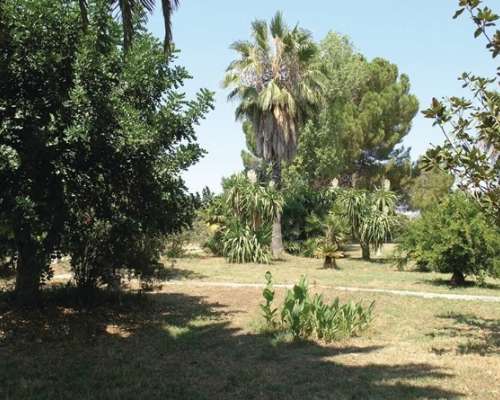 φωτογραφία ακινήτου