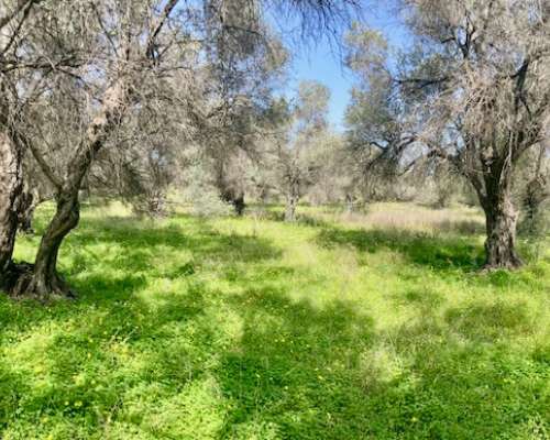 φωτογραφία ακινήτου