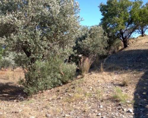 φωτογραφία ακινήτου