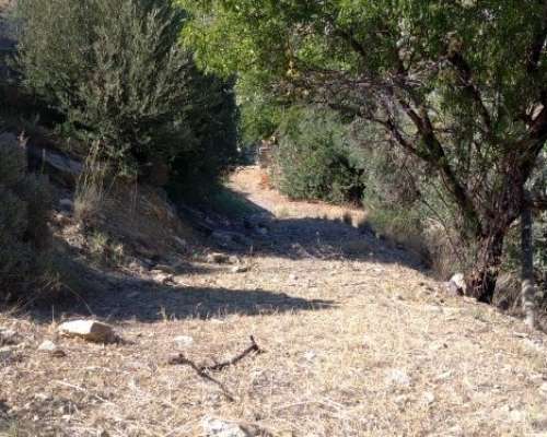 φωτογραφία ακινήτου