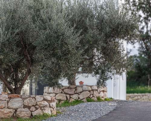 φωτογραφία ακινήτου