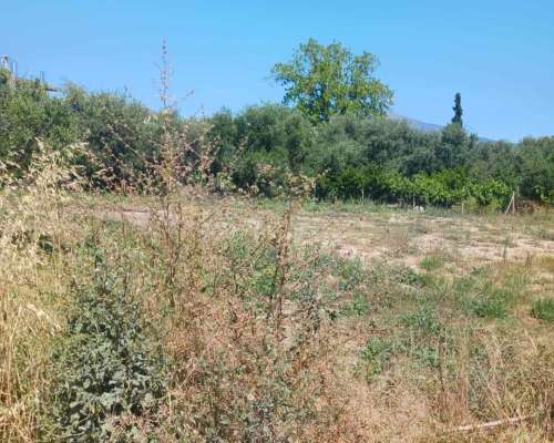 φωτογραφία ακινήτου