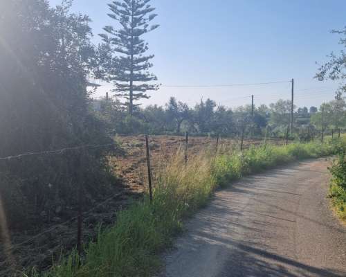 φωτογραφία ακινήτου