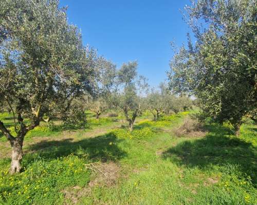 φωτογραφία ακινήτου