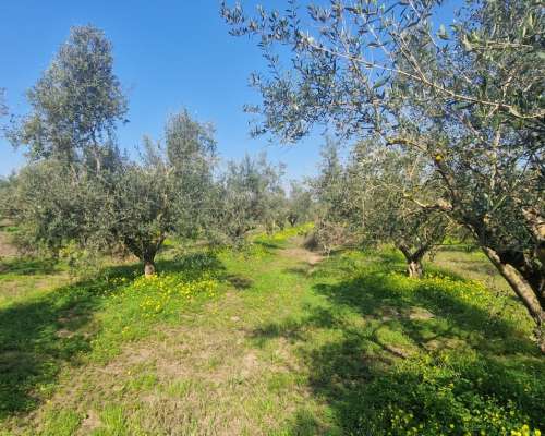 φωτογραφία ακινήτου