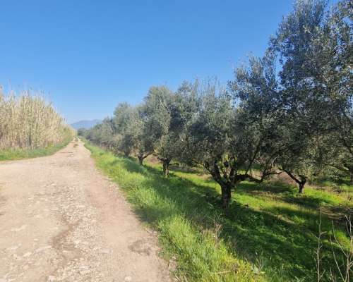 φωτογραφία ακινήτου