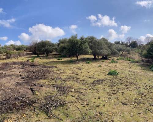 φωτογραφία ακινήτου